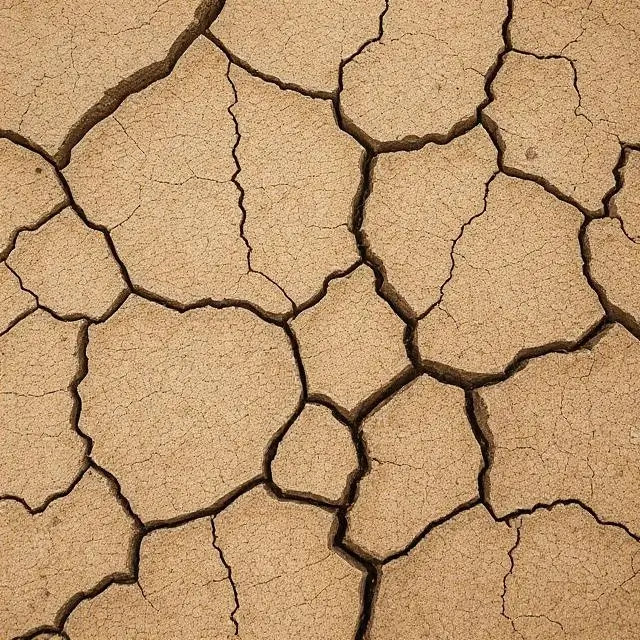 Abstract texture of cracked earth